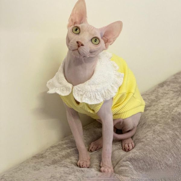 cat costumes pet clothes hairless sphinx clothing for summer and spring cute doll collar sleeveless vest kedi cats cotton t-shirt
cat costumes pet clothes hairless sphinx clothing for summer and spring cute doll collar sleeveless vest kedi cats cotton t-shirt