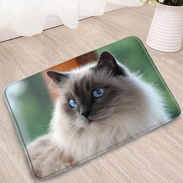 bath mats cute pet cats and dogs bedroom children's room doorway welcome carpets kitchen pad bathroom absorbent non-slip flannel rugs
bath mats cute pet cats and dogs bedroom children's room doorway welcome carpets kitchen pad bathroom absorbent non-slip flannel rugs