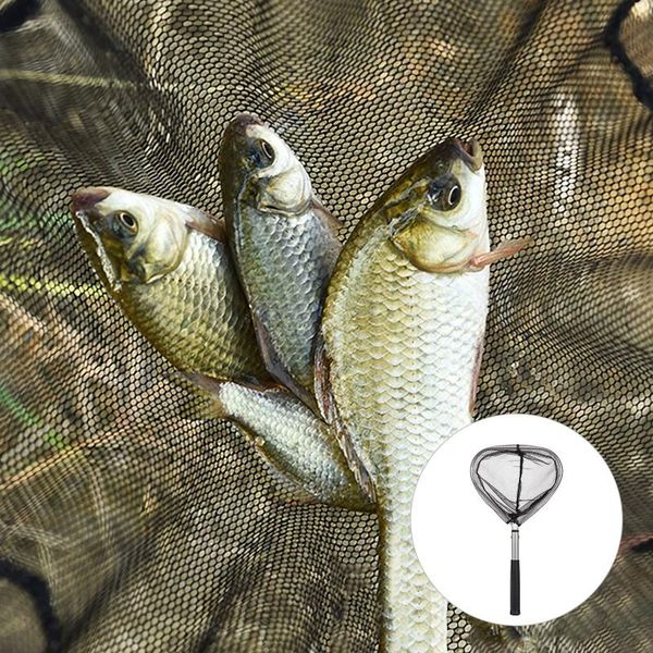 dense mesh nylon net triangle fishing retractable telescoping foldable landing outdoor entertainment accessories
dense mesh nylon net triangle fishing retractable telescoping foldable landing outdoor entertainment accessories