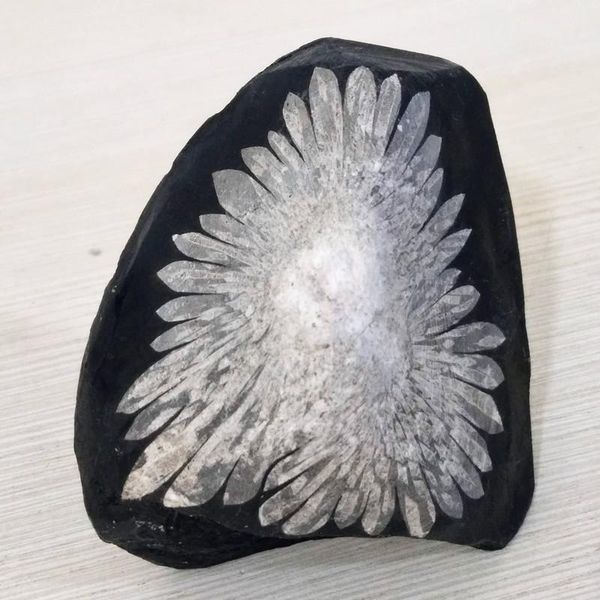 natural stone chrysanthemum crystal mineral specimen home decoration collection scientific research and teaching decorative objects & figuri
natural stone chrysanthemum crystal mineral specimen home decoration collection scientific research and teaching decorative objects & figuri