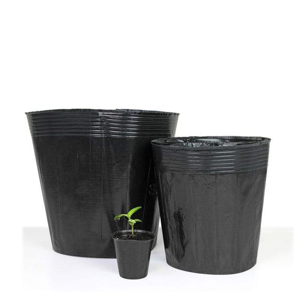 planters & pots 100pcs farm plastic cultivation bag nursery plant for growing vegetable garden g332
planters & pots 100pcs farm plastic cultivation bag nursery plant for growing vegetable garden g332