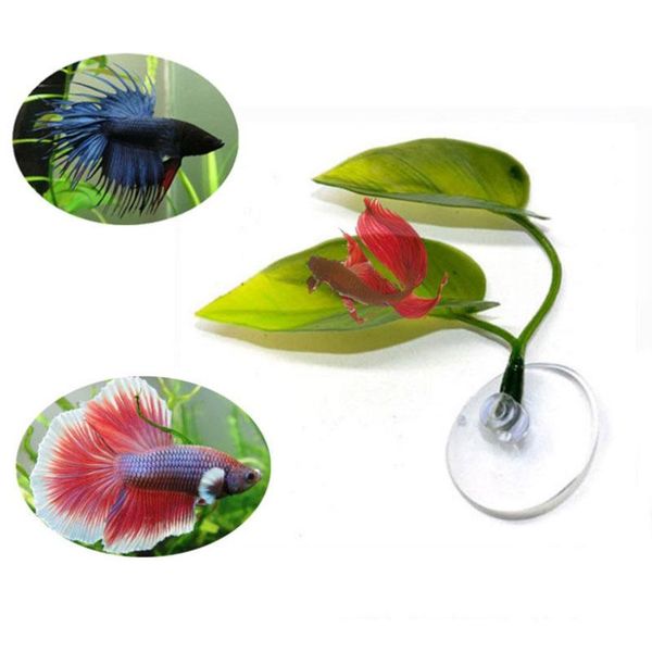 1set aquarium fish tank artificial leaf betta rest spawning ornamental plant play relax hide hammock decorations
1set aquarium fish tank artificial leaf betta rest spawning ornamental plant play relax hide hammock decorations