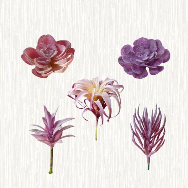 decorative flowers & wreaths 5pcs lifelike creative simulation succulent flower head artificial succulents flocking
decorative flowers & wreaths 5pcs lifelike creative simulation succulent flower head artificial succulents flocking