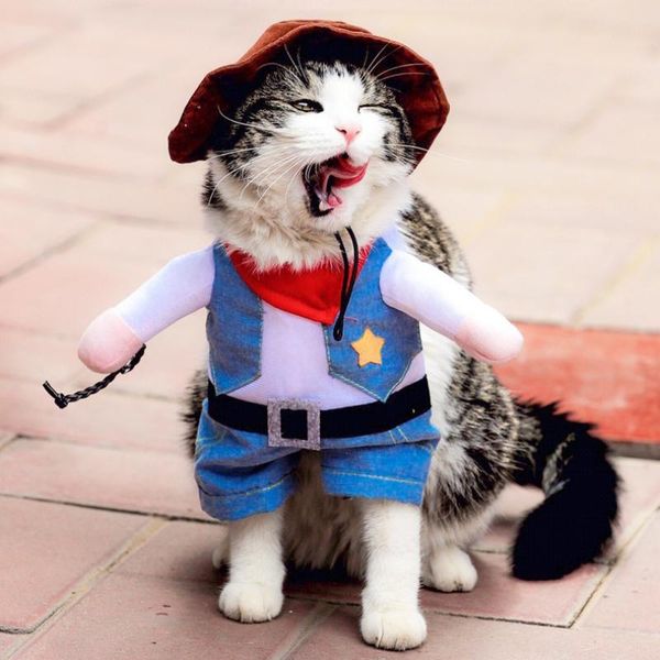 cat costumes cosplay dog clothes funny role pet clothing playing suit pirate halloween dressing up party costume coat
cat costumes cosplay dog clothes funny role pet clothing playing suit pirate halloween dressing up party costume coat