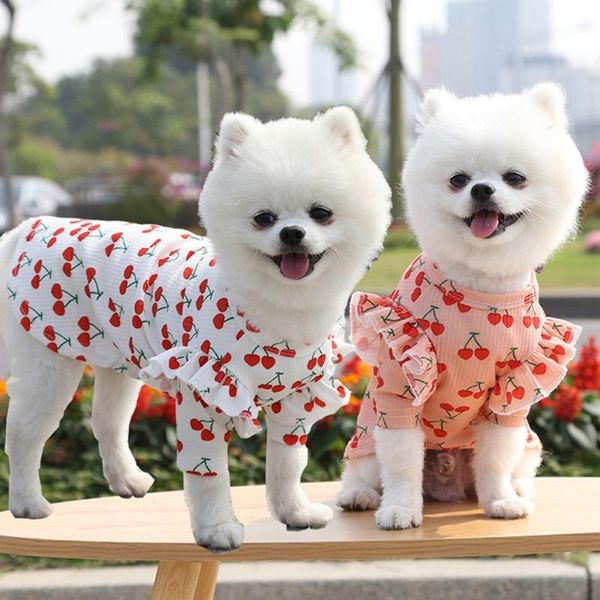 dog apparel summer and autumn pet cherry bottoming shirt clothes print short sleeve cat blouse for small medium sized
dog apparel summer and autumn pet cherry bottoming shirt clothes print short sleeve cat blouse for small medium sized