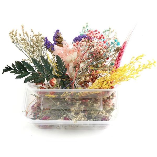 decorative flowers & wreaths boxed dried flower diy accessories dry candle epoxy resin pendant necklace jewelry making craft pa
decorative flowers & wreaths boxed dried flower diy accessories dry candle epoxy resin pendant necklace jewelry making craft pa