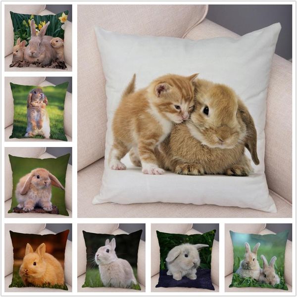 cushion/decorative pillow cushion cover pillowcase covers for sofa car home decor pet animal cotton plush 45x45 cm
cushion/decorative pillow cushion cover pillowcase covers for sofa car home decor pet animal cotton plush 45x45 cm