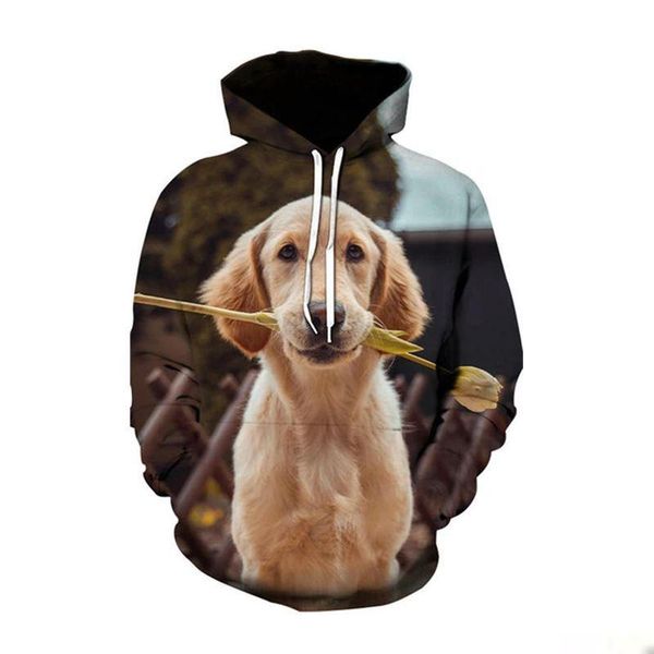 fashion 3d animal golden retriever dog printed men women hoodie casual sweatshirt tracksuit pullover streetwear men's hoodies & sweat, Black
fashion 3d animal golden retriever dog printed men women hoodie casual sweatshirt tracksuit pullover streetwear men's hoodies & sweat, Black