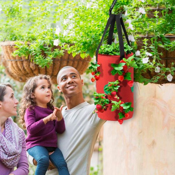 planters & pots plant grow bag with visualization pockets hanging strawberry planting felt cloth container thicken garden pot
planters & pots plant grow bag with visualization pockets hanging strawberry planting felt cloth container thicken garden pot