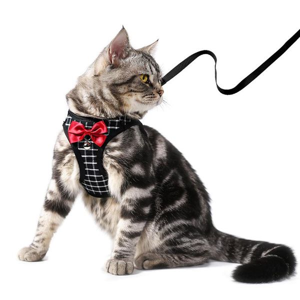 cat collars & leads dog harness leash collar set adjustable soft cute bell for small medium pet outdoor walking
cat collars & leads dog harness leash collar set adjustable soft cute bell for small medium pet outdoor walking