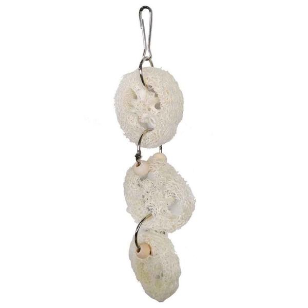 other bird supplies 7pcs/set parrot chew toy hanging bell climbing small parakeets perch macaws wooden finches gift cockatiels cage swing
other bird supplies 7pcs/set parrot chew toy hanging bell climbing small parakeets perch macaws wooden finches gift cockatiels cage swing