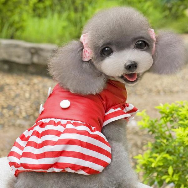 dog apparel meiqi pet baby wholesale candy striped coat clothing autumn and winter teddy clothes
dog apparel meiqi pet baby wholesale candy striped coat clothing autumn and winter teddy clothes