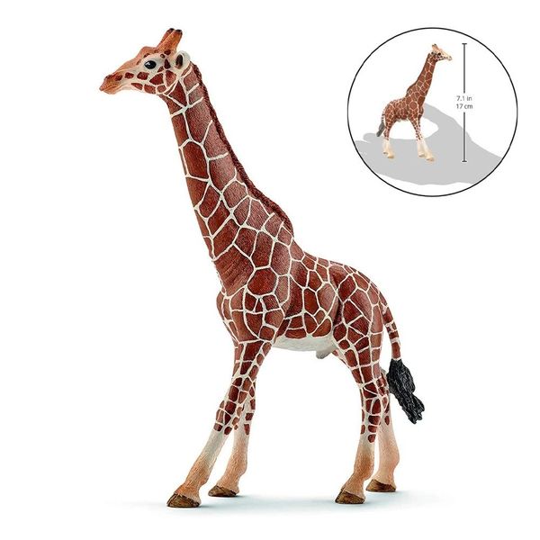 1pcs 6.7inch/17cm female africa giraffe wild life figurines toy pvc model action figures collection toys for kids gift
1pcs 6.7inch/17cm female africa giraffe wild life figurines toy pvc model action figures collection toys for kids gift