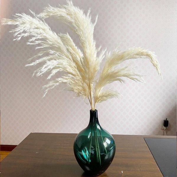 decorative flowers & wreaths white natural dried pampas grass phragmites artificial plants bunch for wedding home christmas decorations
decorative flowers & wreaths white natural dried pampas grass phragmites artificial plants bunch for wedding home christmas decorations