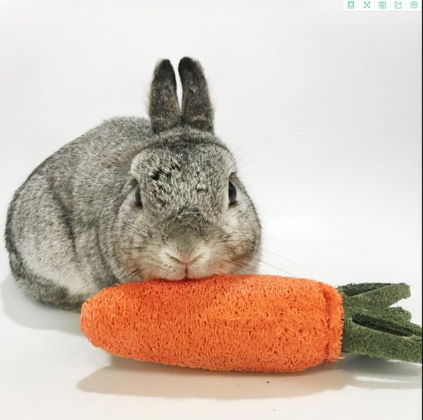 small animal supplies hamster chew toy loofah sponge carrot for guinea pig chinchilla tooth cleaning radish molar toys pet
small animal supplies hamster chew toy loofah sponge carrot for guinea pig chinchilla tooth cleaning radish molar toys pet