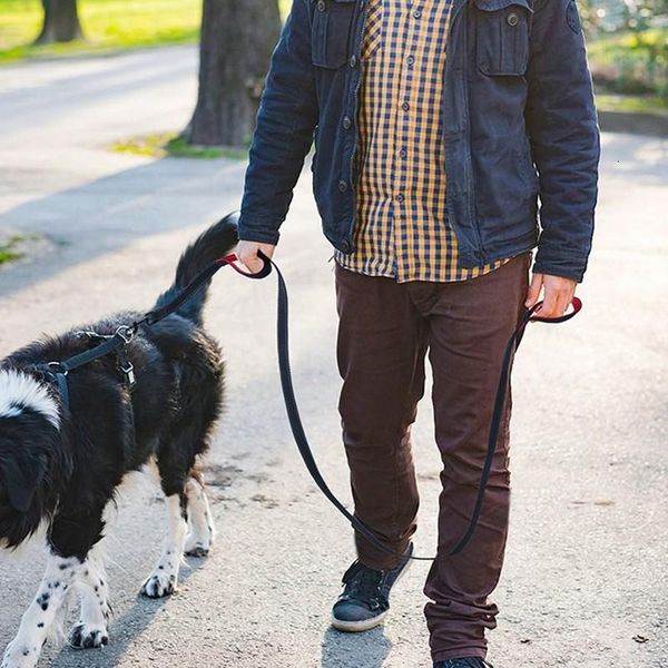 benepaw reflective padded dog leash two handle durable small medium large pet training nylon lead 7 colors mj910 collars & leashes
benepaw reflective padded dog leash two handle durable small medium large pet training nylon lead 7 colors mj910 collars & leashes