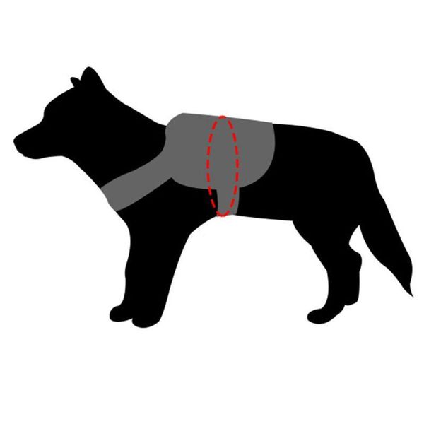 dog apparel tactical service harness military vest handle patches training waterproof leash
dog apparel tactical service harness military vest handle patches training waterproof leash