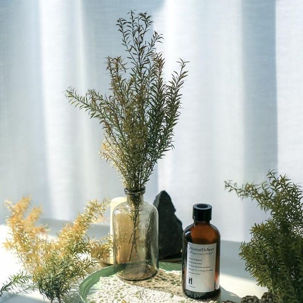 decorative flowers & wreaths 45cm tall natuarl dried melaleuca bracteata branches 60g per bunch grass dry preserved eternal leaves for home
decorative flowers & wreaths 45cm tall natuarl dried melaleuca bracteata branches 60g per bunch grass dry preserved eternal leaves for home