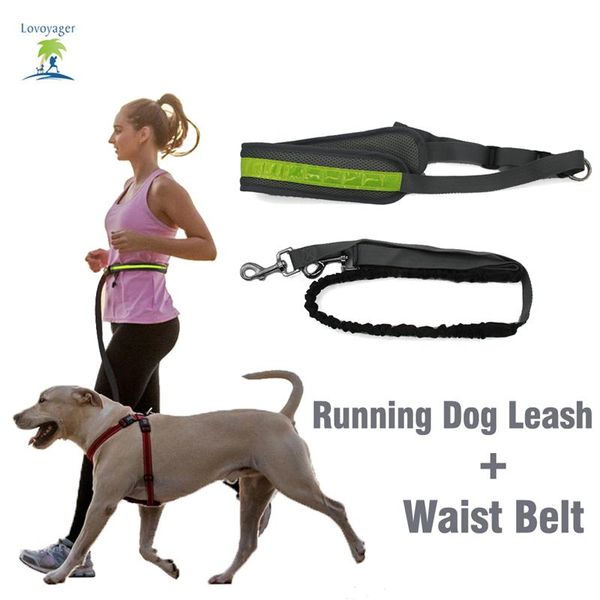 dog collars & leashes hands leash florescent light waist belt for running walking hiking elastic bungee with adjustable
dog collars & leashes hands leash florescent light waist belt for running walking hiking elastic bungee with adjustable