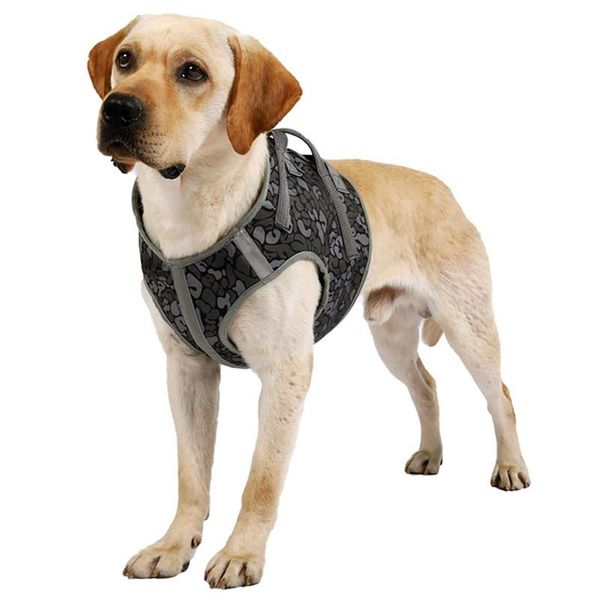explosion-proof red pet chest harness medium and large dog vest-style leash gray collars & leashes
explosion-proof red pet chest harness medium and large dog vest-style leash gray collars & leashes