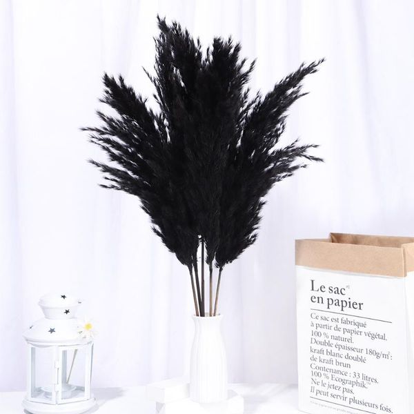 decorative flowers & wreaths 5pcs/pack 18inch black natural dried pampas grass reed flower bunch real wedding decor shooting props diy craft
decorative flowers & wreaths 5pcs/pack 18inch black natural dried pampas grass reed flower bunch real wedding decor shooting props diy craft