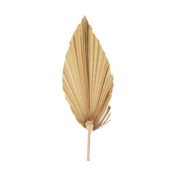 decorative flowers & wreaths natural dried palm leaf fan plant diy party art wall hanging plants wedding decoration for home display elegant
decorative flowers & wreaths natural dried palm leaf fan plant diy party art wall hanging plants wedding decoration for home display elegant