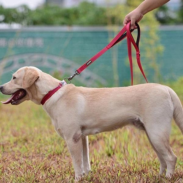 dog collars & leashes 3 colors s/m/l spet adjustable led luminescent waterproof collar nylon double layer neck strap ,,.
dog collars & leashes 3 colors s/m/l spet adjustable led luminescent waterproof collar nylon double layer neck strap ,,.