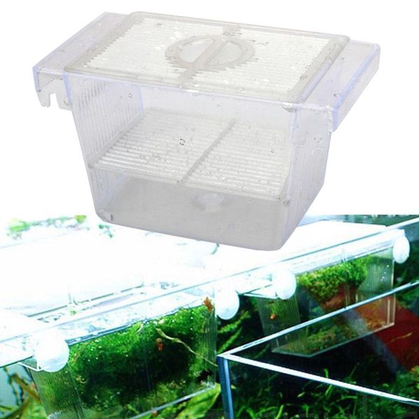 aquariums transparent fashion lovely aquarium fish tank guppy double breeding breeder rearing trap box hatchery re
aquariums transparent fashion lovely aquarium fish tank guppy double breeding breeder rearing trap box hatchery re