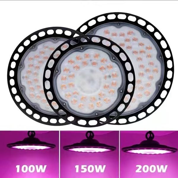 led grow light 100w 150w 200w full spectrum ufo phyto lamp ip65 waterproof for plant factory greenhouse hydroponic seedling
led grow light 100w 150w 200w full spectrum ufo phyto lamp ip65 waterproof for plant factory greenhouse hydroponic seedling