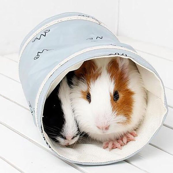 25# hamster drill holes in hedgehog tunnel guinea pig household unique design washable pet crawling pipe 1pc small animal supplies
25# hamster drill holes in hedgehog tunnel guinea pig household unique design washable pet crawling pipe 1pc small animal supplies