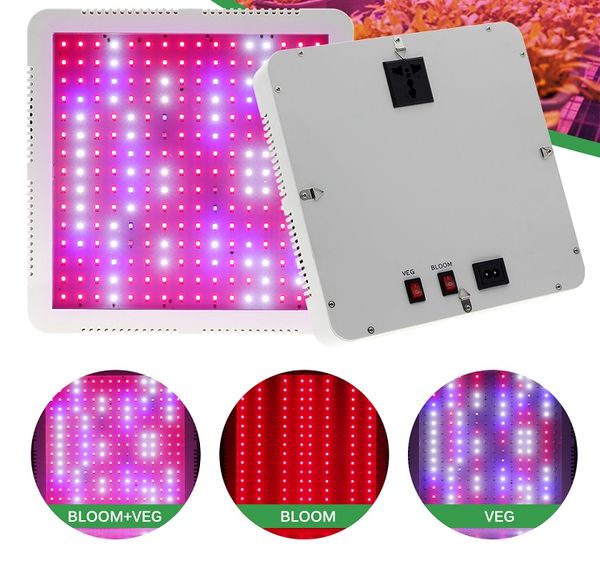 led grow light 300w plant lamps full spectrum for indoor flower seedling veg tent growing phyto lamp fitolampy with double switch
led grow light 300w plant lamps full spectrum for indoor flower seedling veg tent growing phyto lamp fitolampy with double switch