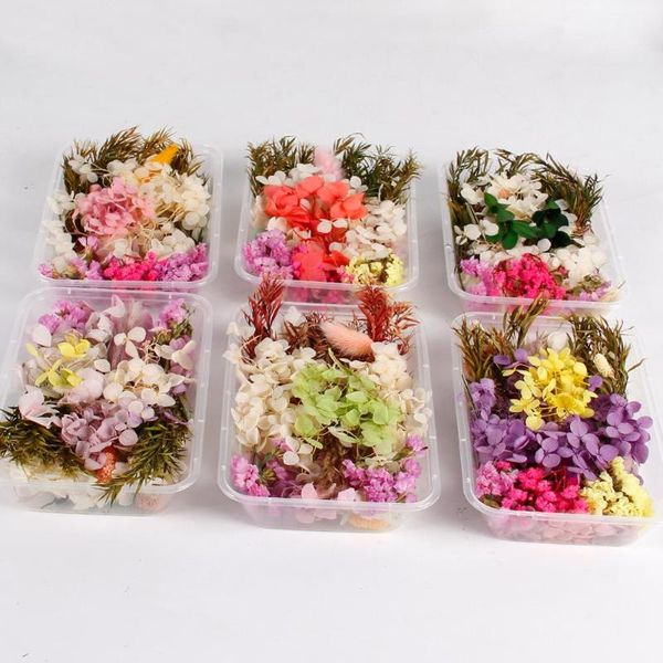decorative flowers & wreaths dry flower mix 1 box real dried decor artificial wedding resin pendant necklace jewelry diy accessories
decorative flowers & wreaths dry flower mix 1 box real dried decor artificial wedding resin pendant necklace jewelry diy accessories