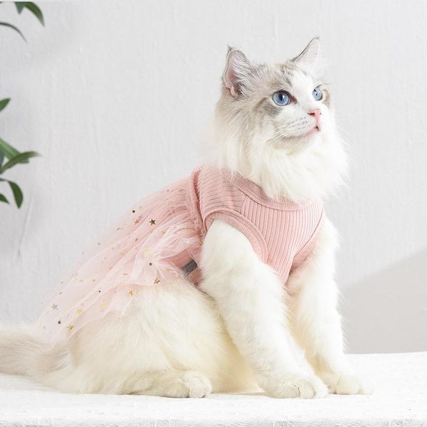 cat costumes clothes spring summer pet clothing for small cats dogs soft kitten kitty dress puppy outfit s-2xl
cat costumes clothes spring summer pet clothing for small cats dogs soft kitten kitty dress puppy outfit s-2xl