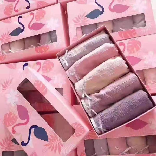 flamingo generation lace ee seamless women's briefs, Black;pink 
flamingo generation lace ee seamless women's briefs, Black;pink