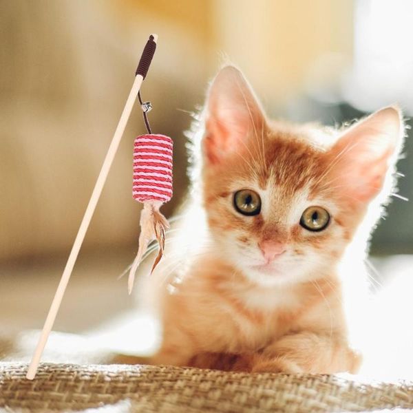 cat toys 1pcs funny sisal cylinder feather bite-resistant and wear-resistant stick teaser wand playing rod cats w/bell
cat toys 1pcs funny sisal cylinder feather bite-resistant and wear-resistant stick teaser wand playing rod cats w/bell