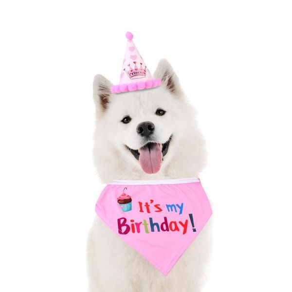 dog apparel birthday hat scarf set pet party animal first little dress up 
dog apparel birthday hat scarf set pet party animal first little dress up