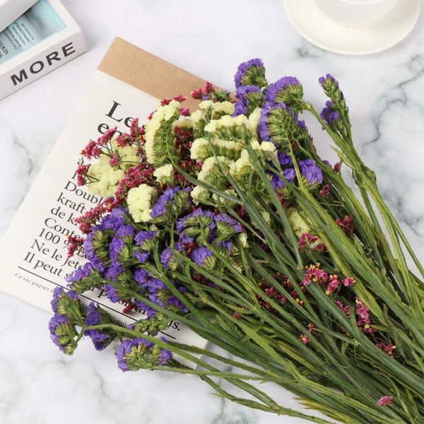 natural material diy matching pography craft forget-me reed dried bouquets real plant stems flower wedding home decor decorative flowers & w
natural material diy matching pography craft forget-me reed dried bouquets real plant stems flower wedding home decor decorative flowers & w