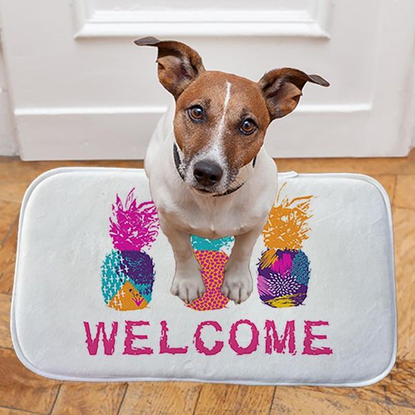 carpets pineapple print doormat non-slip floor mat pad kitchen room carpet mats tapis pastoral water absorption
carpets pineapple print doormat non-slip floor mat pad kitchen room carpet mats tapis pastoral water absorption