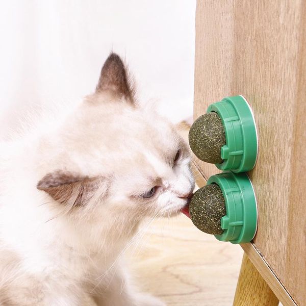 cat toys catnip toy interactive cats feed for feeder intimate kitten pets kittens electronics goods pet items balls small things
cat toys catnip toy interactive cats feed for feeder intimate kitten pets kittens electronics goods pet items balls small things