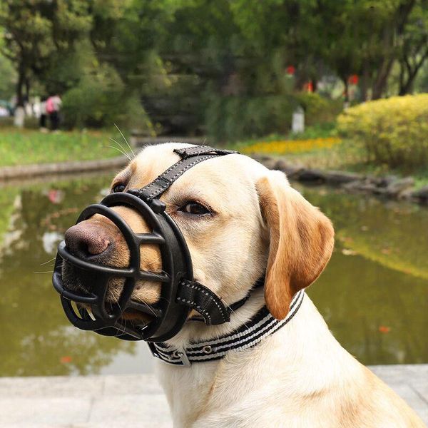 dog car seat covers pet mask breathable basket muzzle bark ser products accessories anti-bite and anti-call
dog car seat covers pet mask breathable basket muzzle bark ser products accessories anti-bite and anti-call