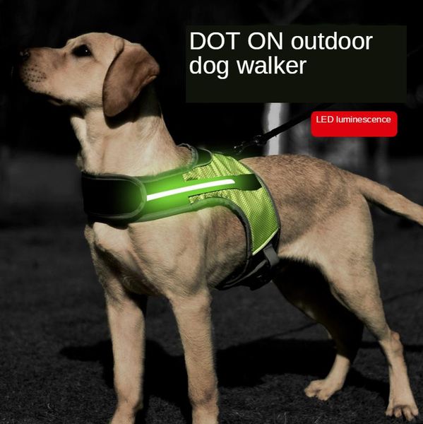 illuminated dog harness medium and large outing products vest-style collars safe firm accessories & leashes
illuminated dog harness medium and large outing products vest-style collars safe firm accessories & leashes