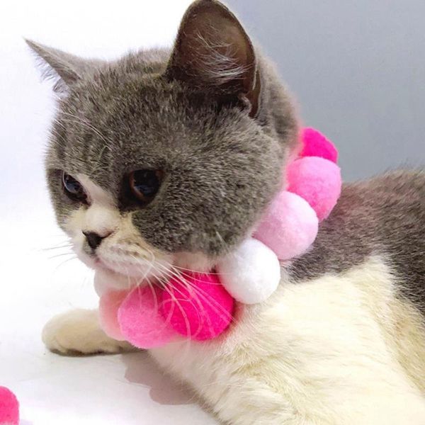 1pc pom decor dog collar fashion decorative plush cat kitten pet supplies for party accessories collars & leashes
1pc pom decor dog collar fashion decorative plush cat kitten pet supplies for party accessories collars & leashes