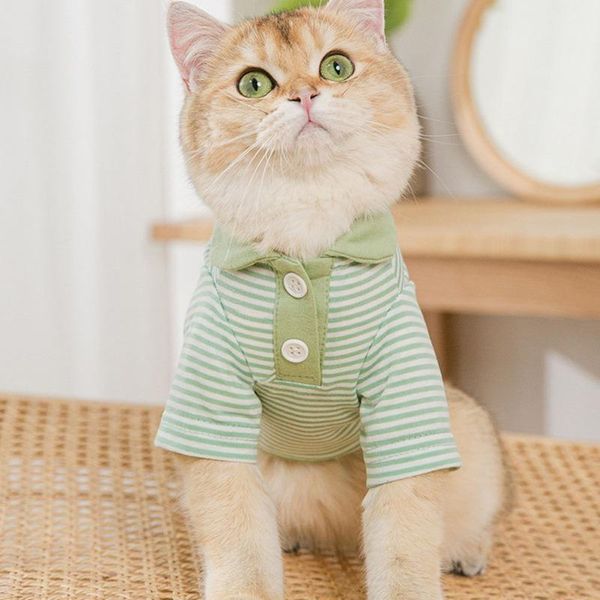cat costumes breathable small medium-sized dog striped t-shirt puppy kitten vest cute funny comfortable pet clothes
cat costumes breathable small medium-sized dog striped t-shirt puppy kitten vest cute funny comfortable pet clothes