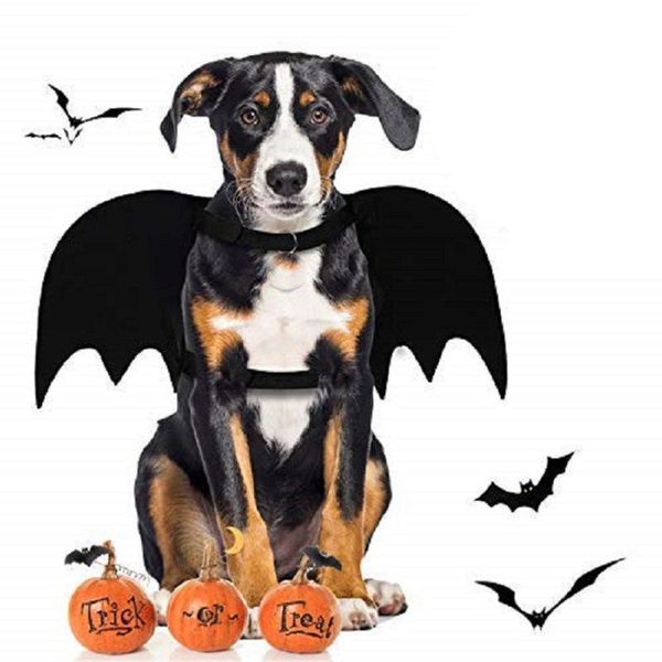 cat costumes halloween pet dog bat wing cosplay prop fancy dress costume outfit wings po props headwear
cat costumes halloween pet dog bat wing cosplay prop fancy dress costume outfit wings po props headwear