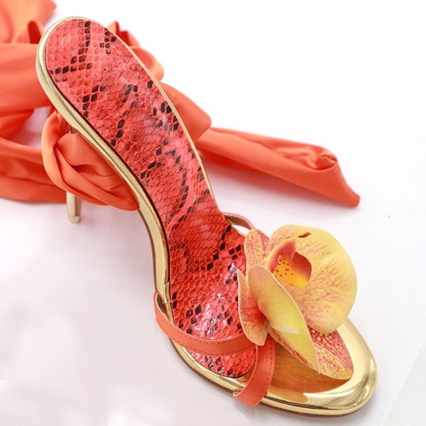 sandals olomm fashions female gladiator stiletto sandals heels open toe beautiful red party shoes and more size 5-.5 whpk, Black
sandals olomm fashions female gladiator stiletto sandals heels open toe beautiful red party shoes and more size 5-.5 whpk, Black