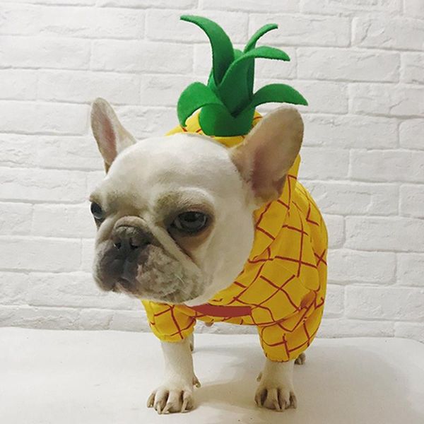 dog apparel arrival pet clothes 2021 dress puppy prince lovely hoodie pineapple for dogs
dog apparel arrival pet clothes 2021 dress puppy prince lovely hoodie pineapple for dogs