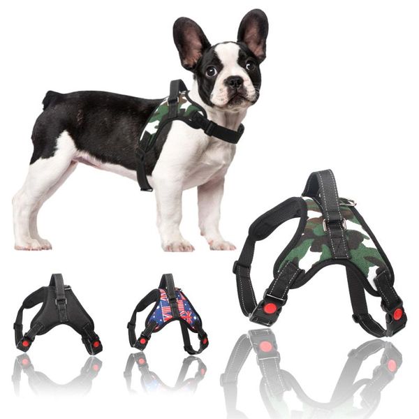 soft dog harness pet adjustable walk out vest collar for large hand strap small medium dogs puppy supplies collars & leashes
soft dog harness pet adjustable walk out vest collar for large hand strap small medium dogs puppy supplies collars & leashes