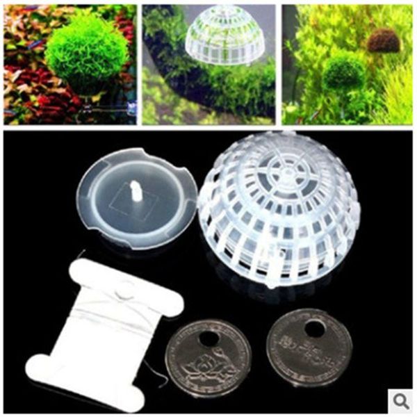 decorations 1pc filter decor for live plant unlimited combination water ball diy aquarium fish tank landscape moss floating balls
decorations 1pc filter decor for live plant unlimited combination water ball diy aquarium fish tank landscape moss floating balls