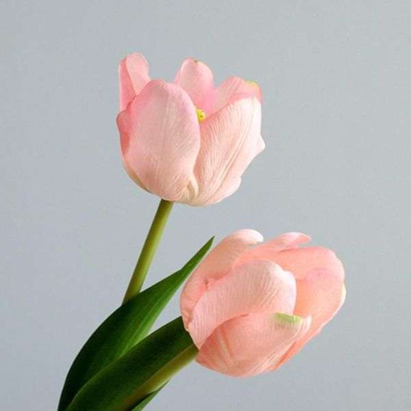 decorative flowers & wreaths 5pcs tulip artificial flower real touch bouquet for home gift wedding decor yellow white tulips
decorative flowers & wreaths 5pcs tulip artificial flower real touch bouquet for home gift wedding decor yellow white tulips