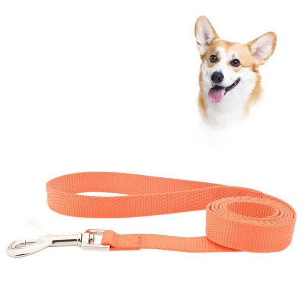 dog collars & leashes pet leash nylon for small medium dogs cats puppy walking running lead accessories supplies-1.2m length
dog collars & leashes pet leash nylon for small medium dogs cats puppy walking running lead accessories supplies-1.2m length